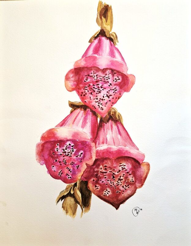 Digitalis, watercolour