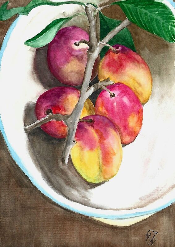 Victoria Plums, watercolour